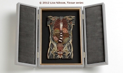 Lisa Nilsson, Tissue series (2012)